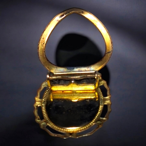 Vintage 1930’s  Floral  Cameo  Rose Transfer Acrylic Scarf Clip - Picture 8 of 9